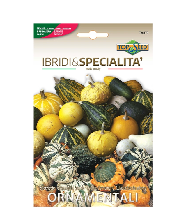 Zucchette ORNAMENTALI