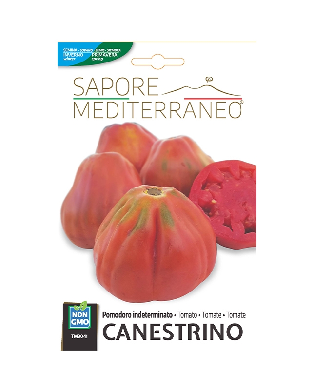 Pomodoro indeterminato CANESTRINO