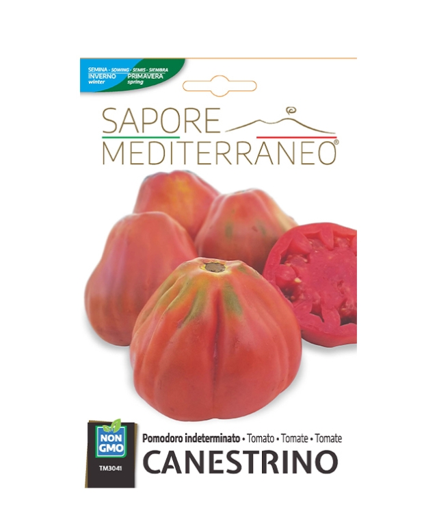 Pomodoro indeterminato CANESTRINO