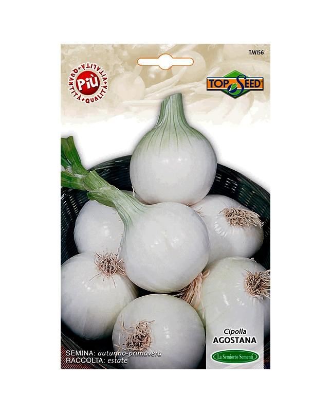 CIPOLLA AGOSTANA