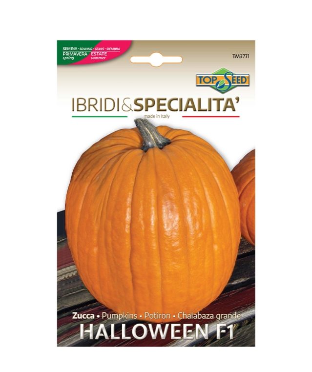 Zucca HALLOWEEN F1