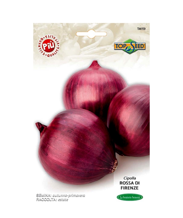 CIPOLLA ROSSA DI FIRENZE