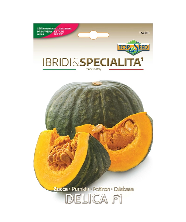 Zucca DELICA F1