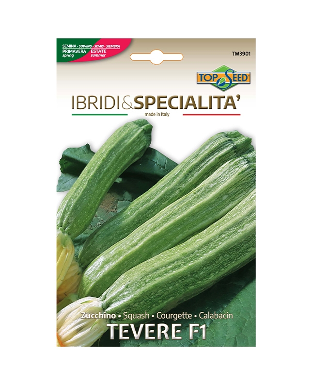 Zucchino TEVERE F1