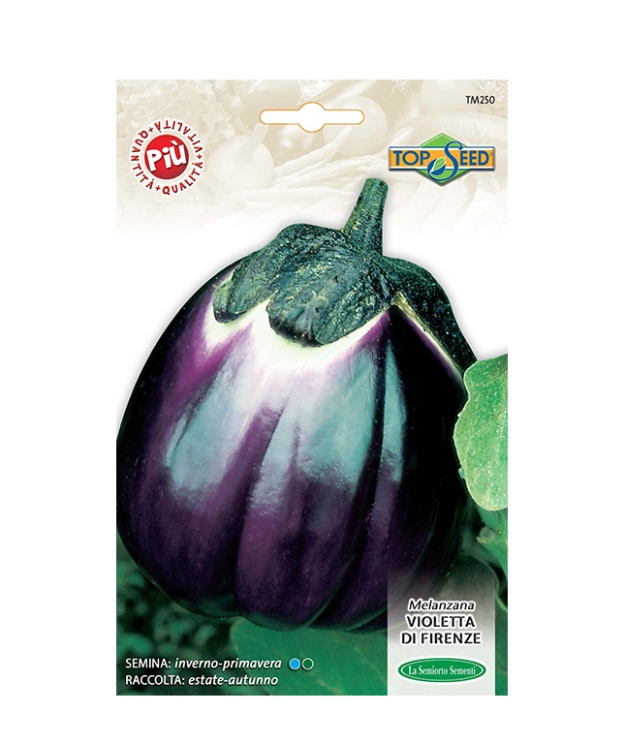 MELANZANA VIOLETTA DI FIRENZE
