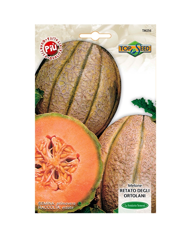 MELONE RETATO DEGLI ORTOLANI