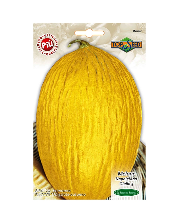 MELONE NAPOLETANO GIALLO 3