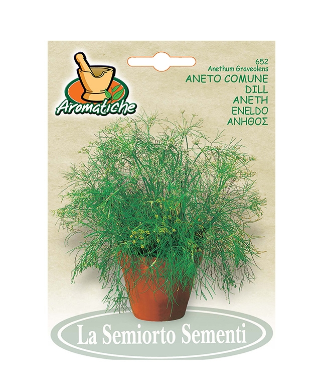 ANETO COMUNE