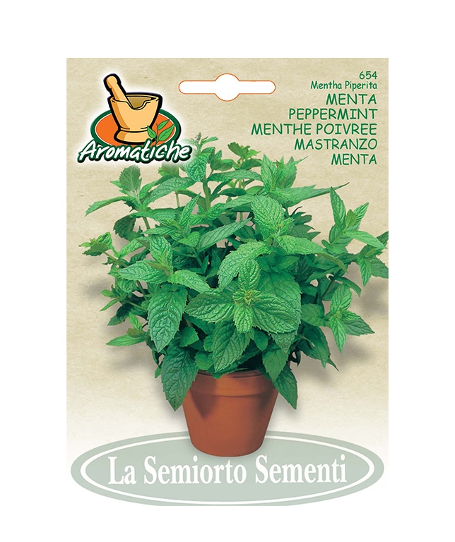 MENTA