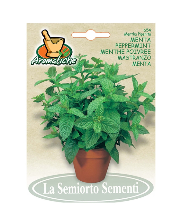 MENTA