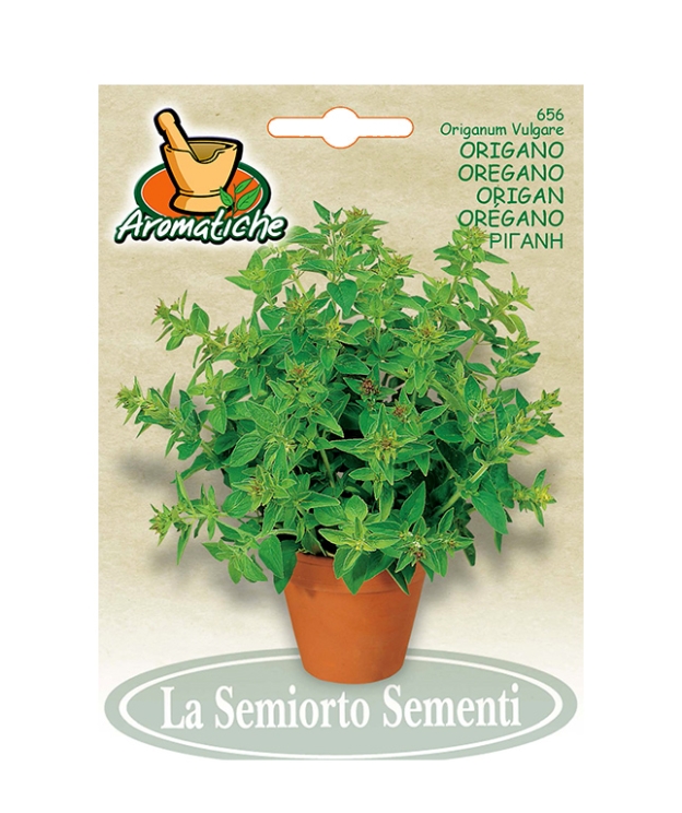 ORIGANO