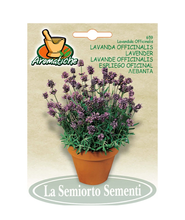 LAVANDA OFFICINALIS