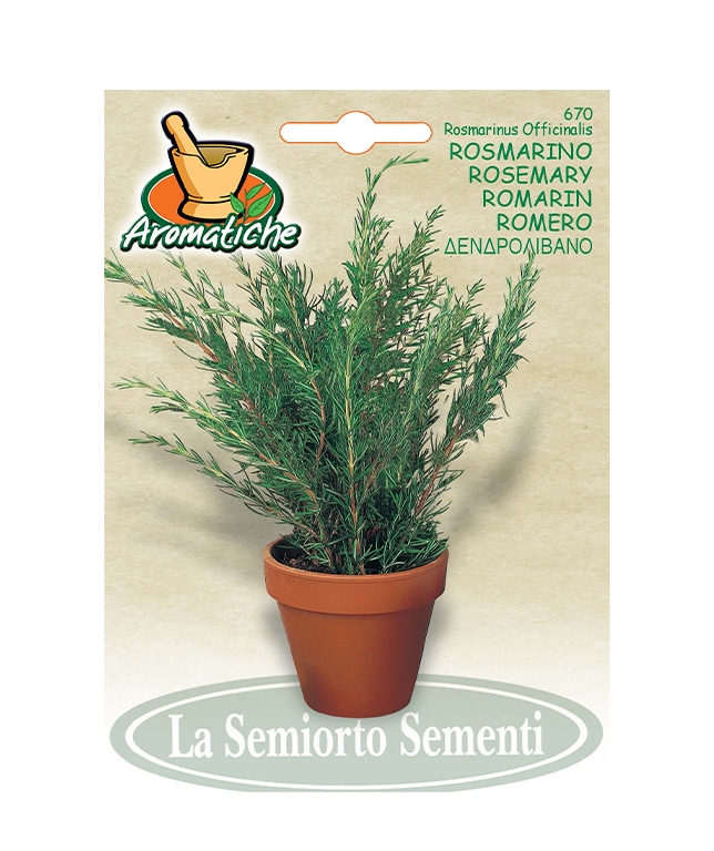 ROSMARINO