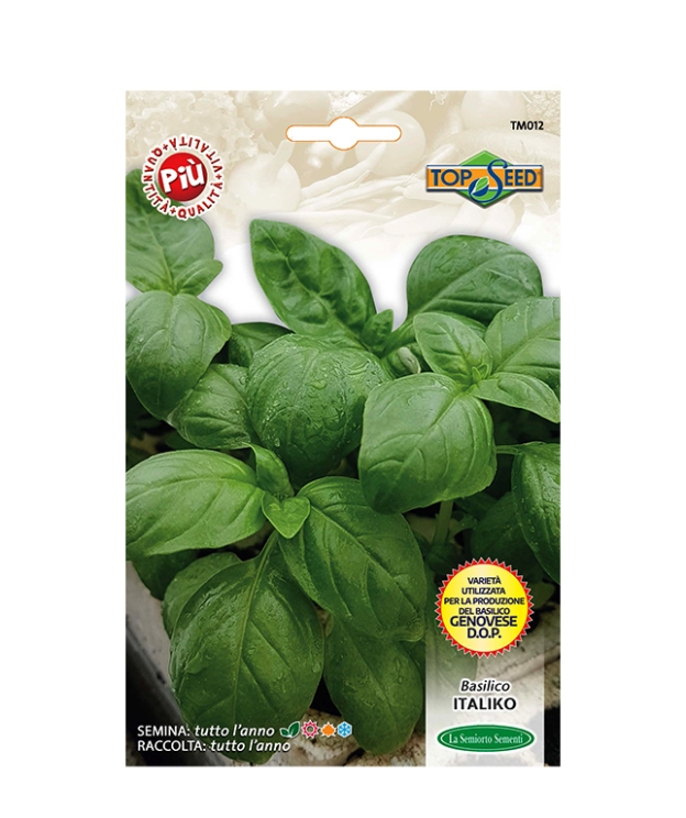 BASILICO ITALIKO