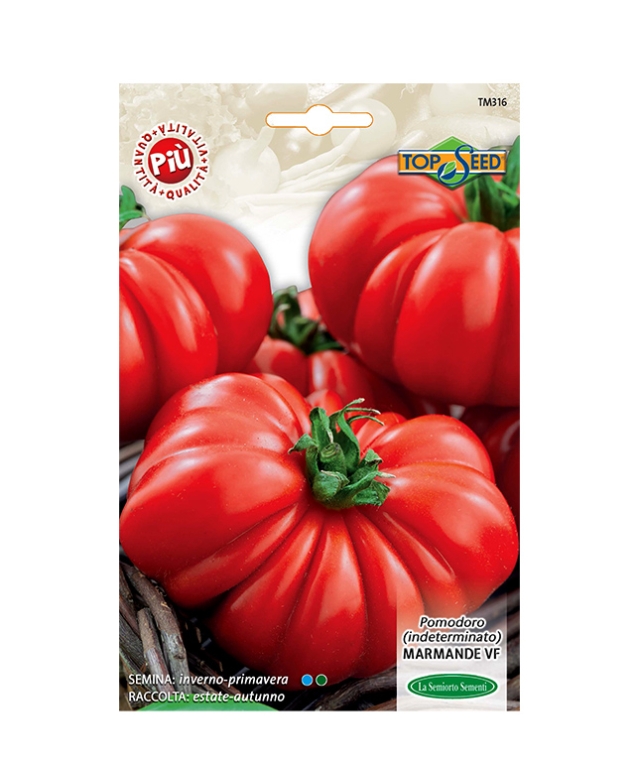 POMODORO (INDETERMINATO) MARMANDE VF