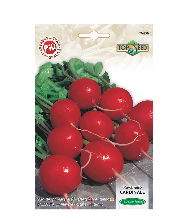 RAVANELLO CARDINALE