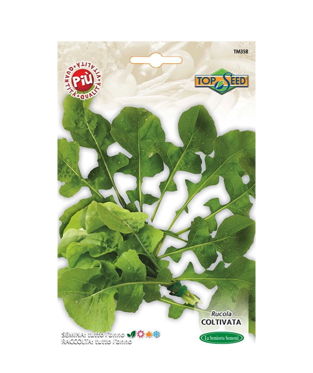 RUCOLA COLTIVATA