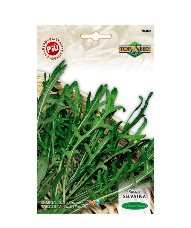 RUCOLA SELVATICA