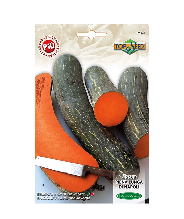 ZUCCA PIENA LUNGA DI NAPOLI