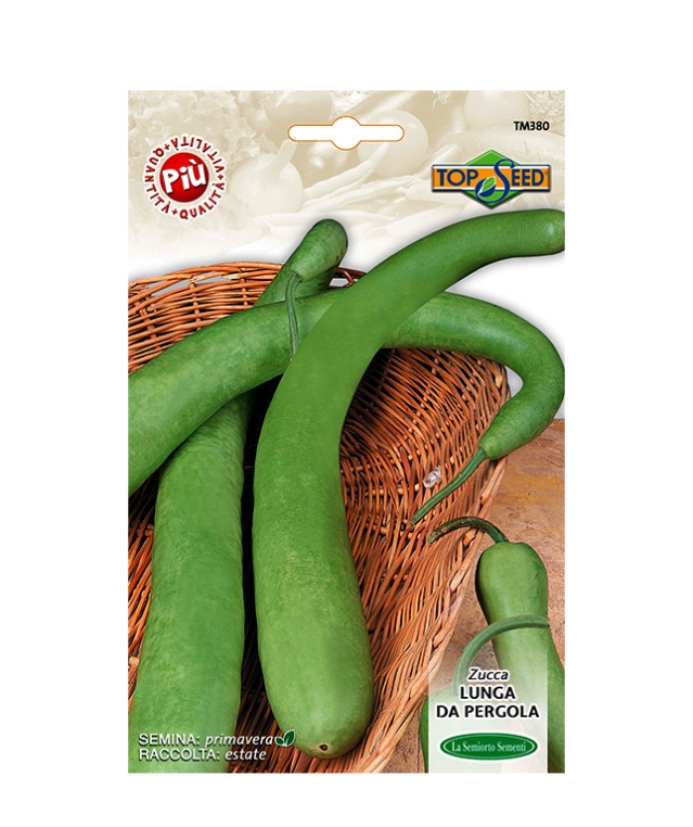 ZUCCA LUNGA DA PERGOLA