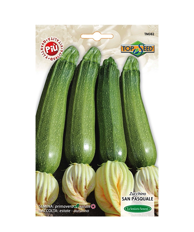 ZUCCHINA SAN PASQUALE