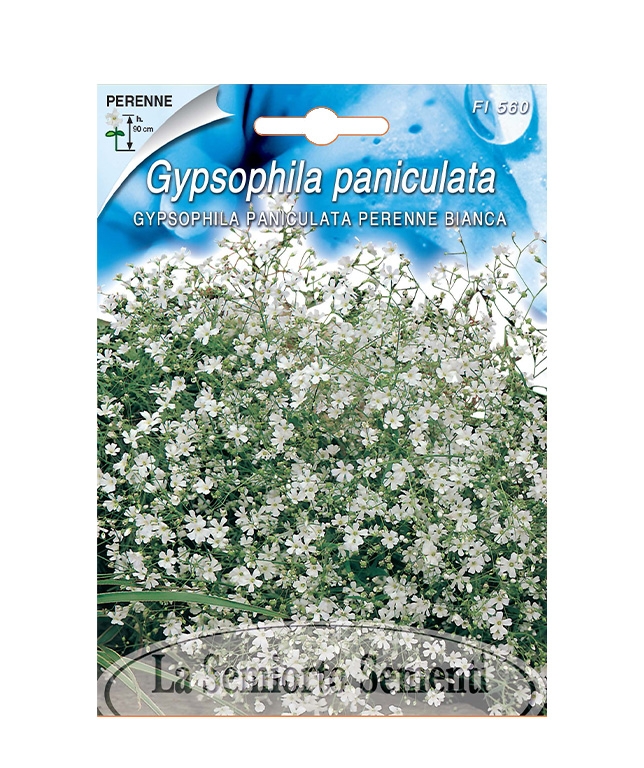 GYPSOPHILA PANICULATA PERENNE BIANCA