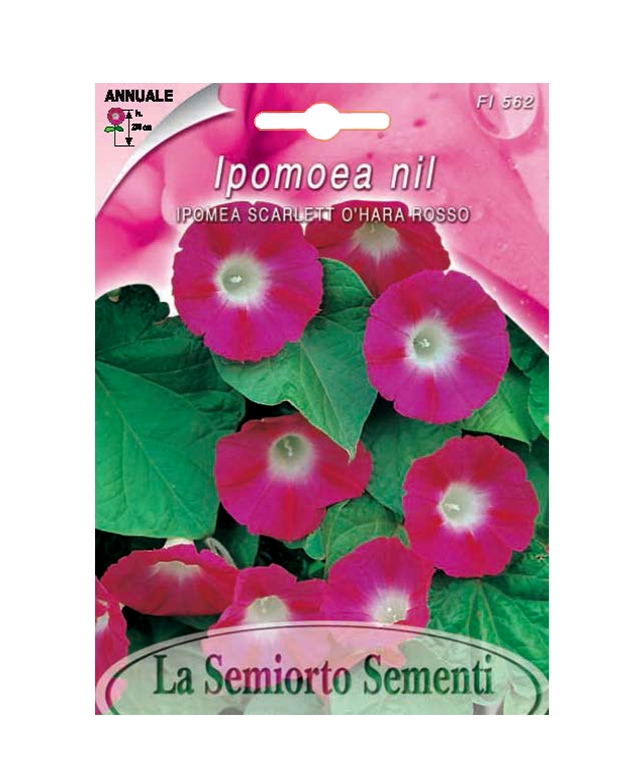 IPOMEA SCARLETT O'HARA ROSSO