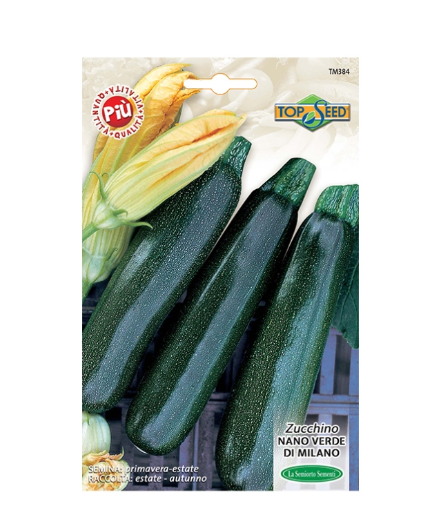 ZUCCHINO NANO VERDE DI MILANO