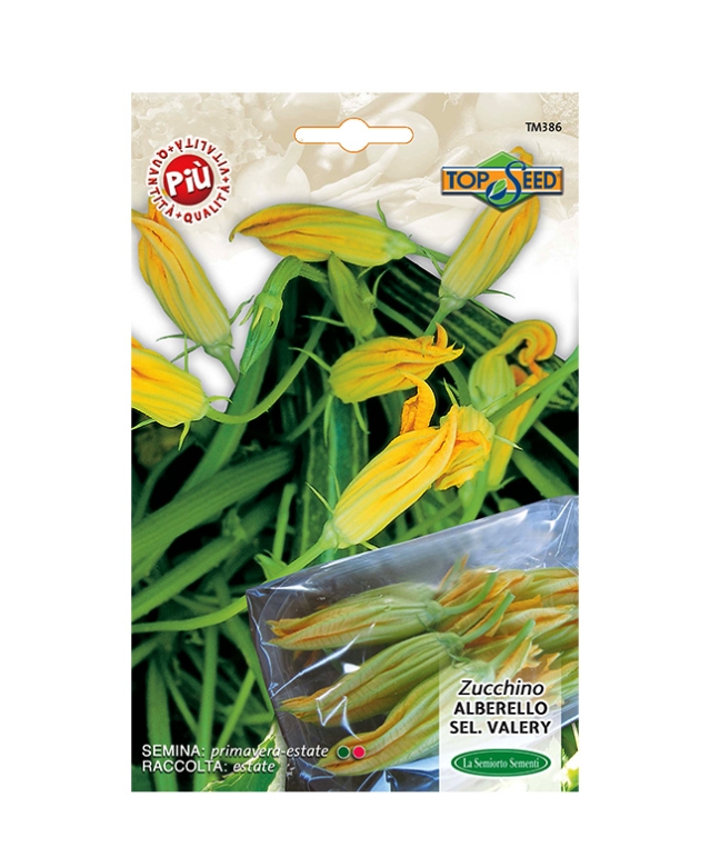 ZUCCHINO ALBERELLO SEL. VALERY