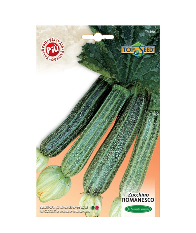 ZUCCHINO ROMANESCO