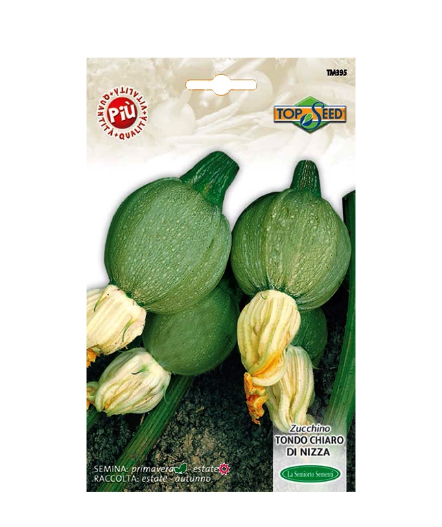 ZUCCHINO TONDO CHIARO DI NIZZA