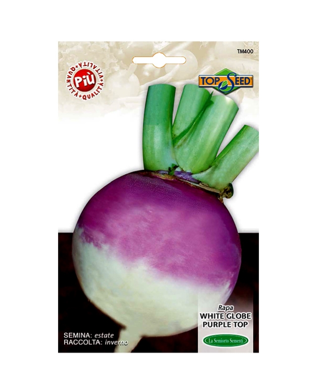 RAPA WHITE GLOBE PURPLE TOP