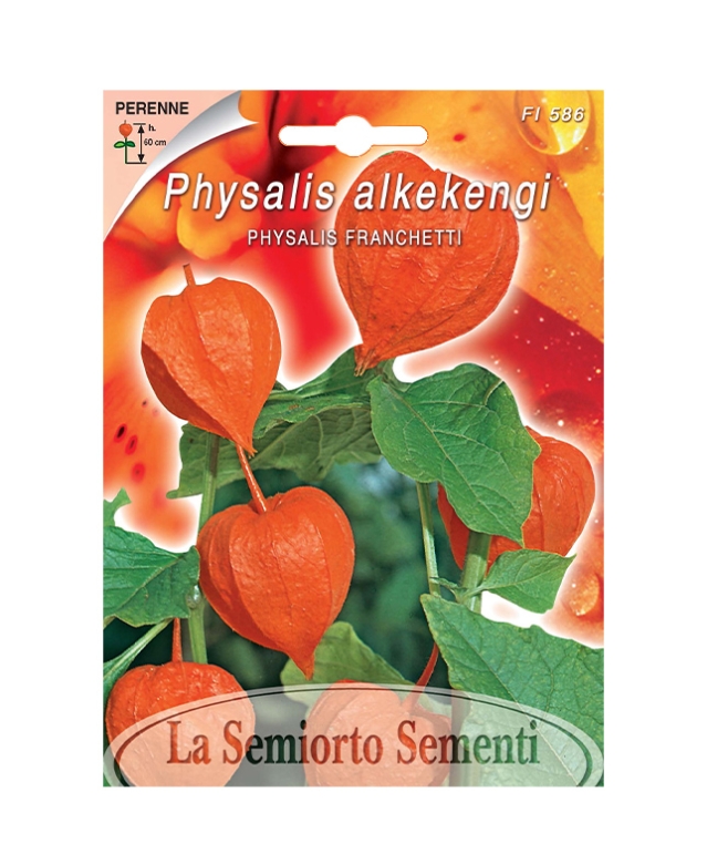 PHYSALIS FRANCHETTI