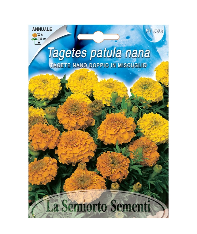 TAGETE NANO DOPPIO IN MISCUGLIO