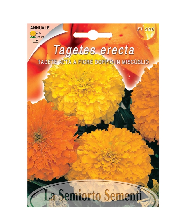 TAGETE ALTA A FIORE DOPPIO IN MISCUGLIO