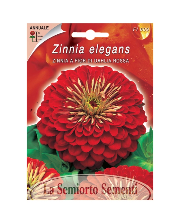 ZINNIA A FIOR DI DAHLIA ROSSA