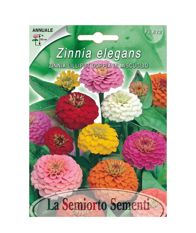 ZINNIA LILLIPUT DOPPIA IN MISCUGLIO