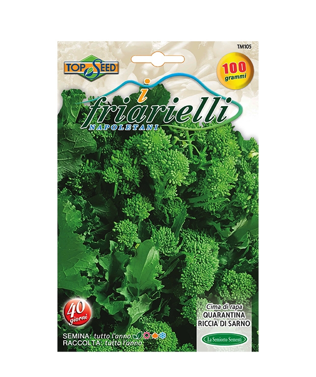CIMA DI RAPA QUARANTINA RICCIA DI SARNO