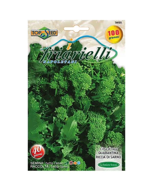CIMA DI RAPA QUARANTINA RICCIA DI SARNO