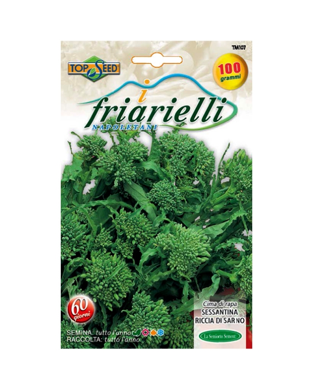 CIMA DI RAPA SESSANTINA RICCIA DI SARNO
