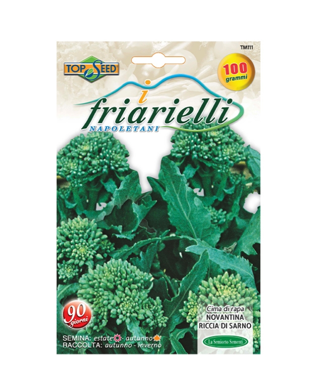 CIMA DI RAPA NOVANTINA RICCIA DI SARNO
