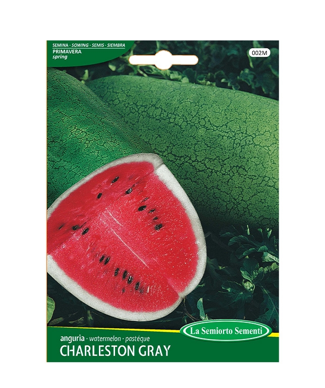anguria CHARLESTON GRAY