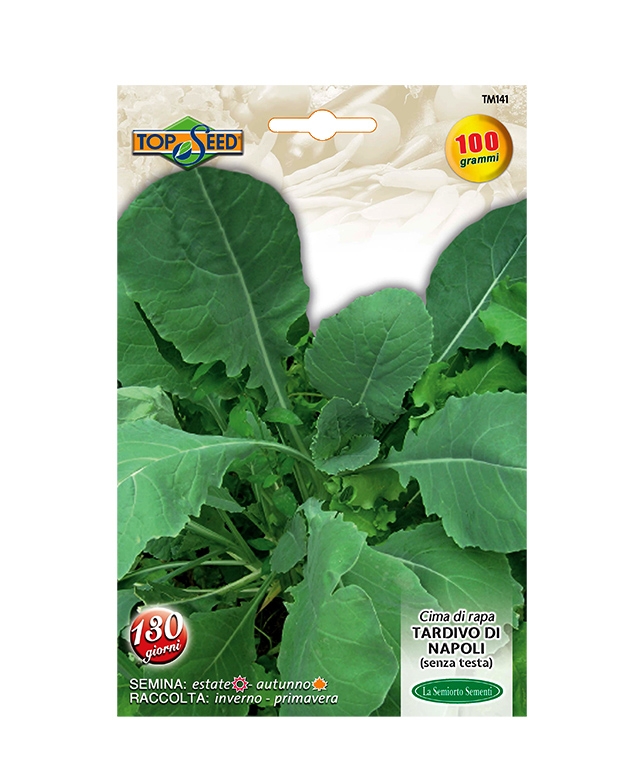CIMA DI RAPA TARDIVO DI NAPOLI (SENZA TESTA)