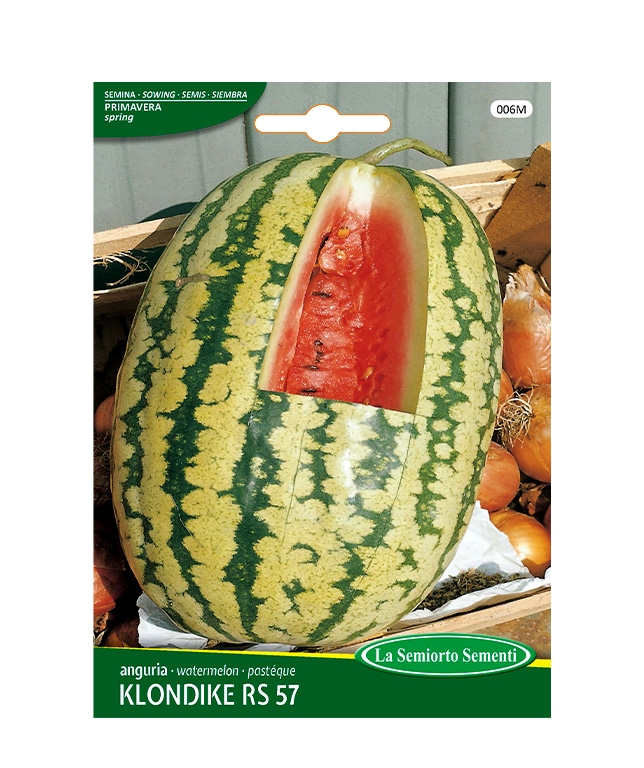anguria KLONDIKE RS 57