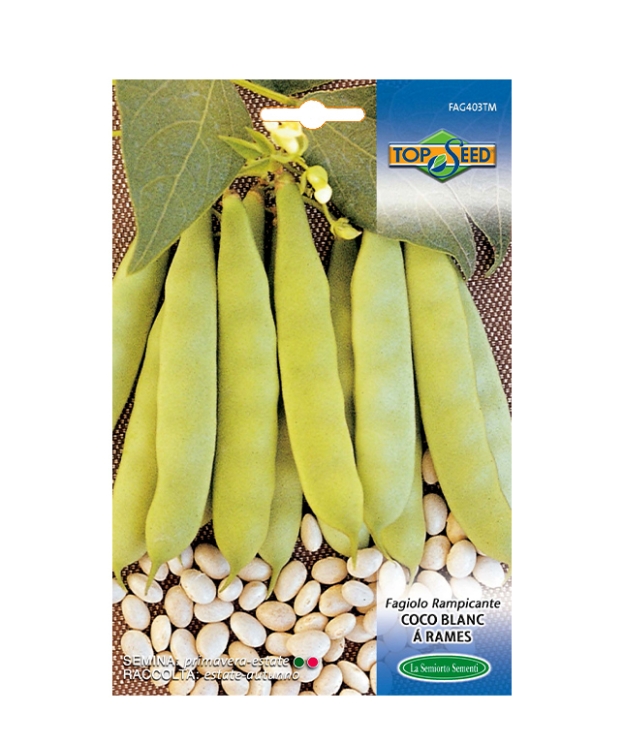 Fagiolo Rampicante COCO BLANC A' RAMES