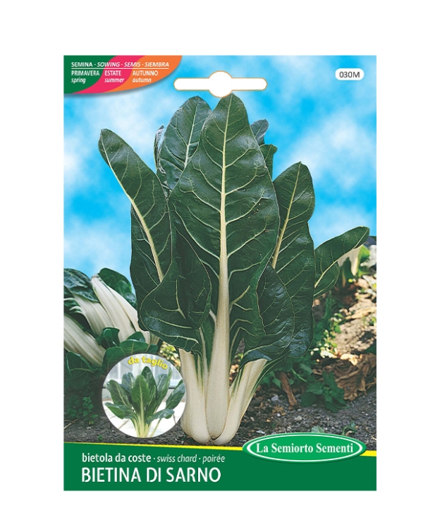 bietola da coste BIETINA DI SARNO