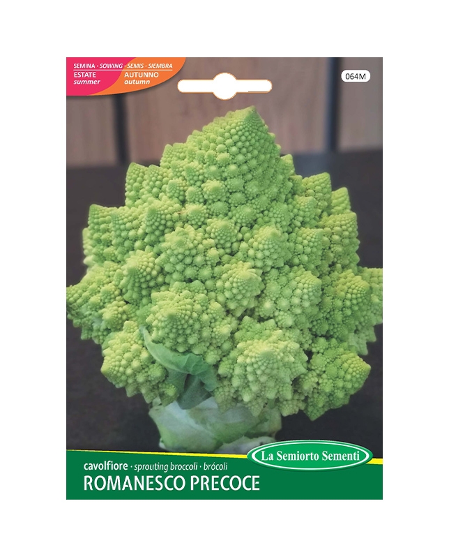 cavolfiore ROMANESCO PRECOCE
