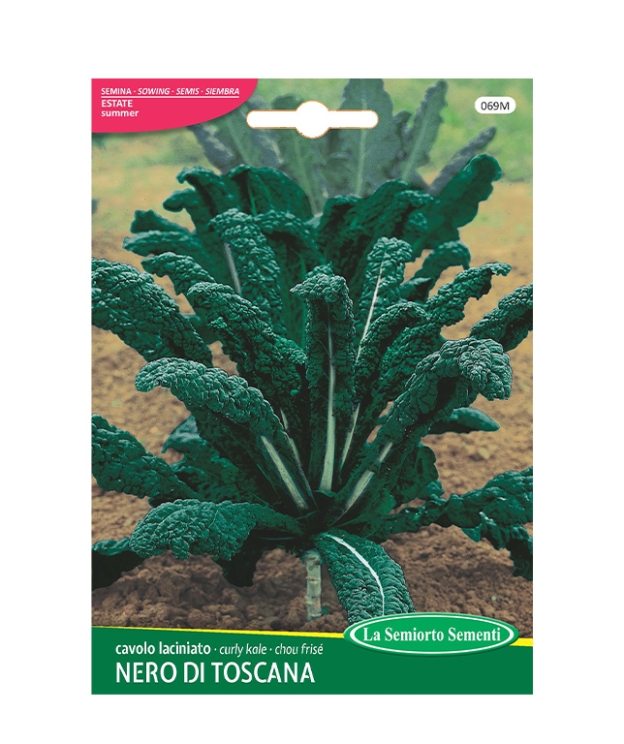 cavolo laciniato NERO DI TOSCANA