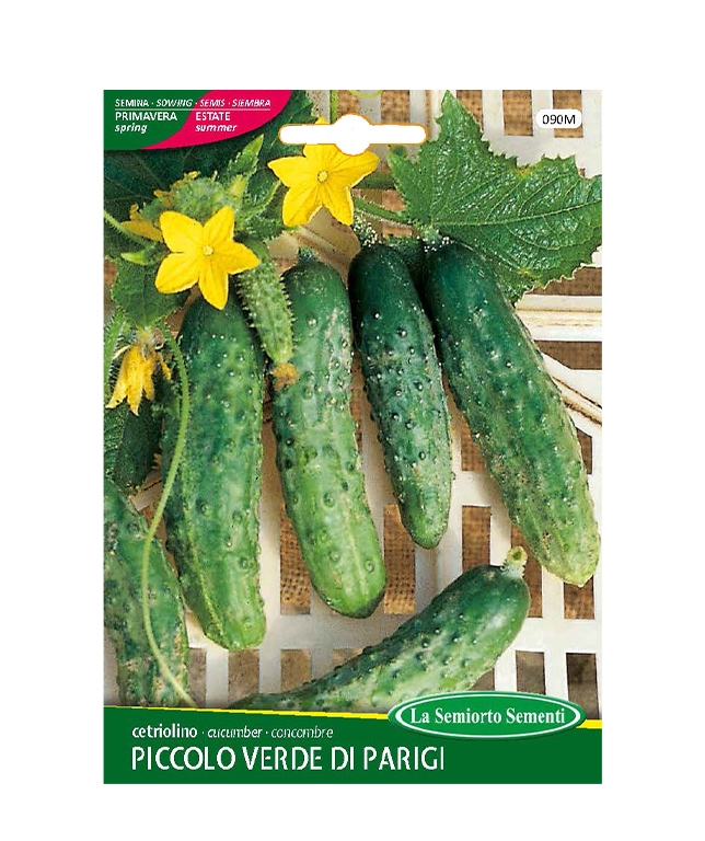 cetriolino PICCOLO VERDE DI PARIGI