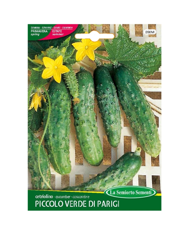 cetriolino PICCOLO VERDE DI PARIGI